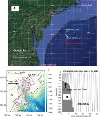 A Cycle of Wind-Driven Canyon Upwelling and Downwelling at Wilmington Canyon and the Evolution of Canyon-Upwelled Dense Water on the MAB Shelf